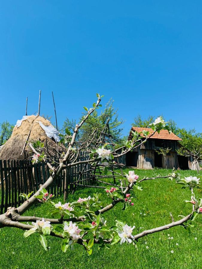 The Story Garden Hotel Corbi Ngoại thất bức ảnh
